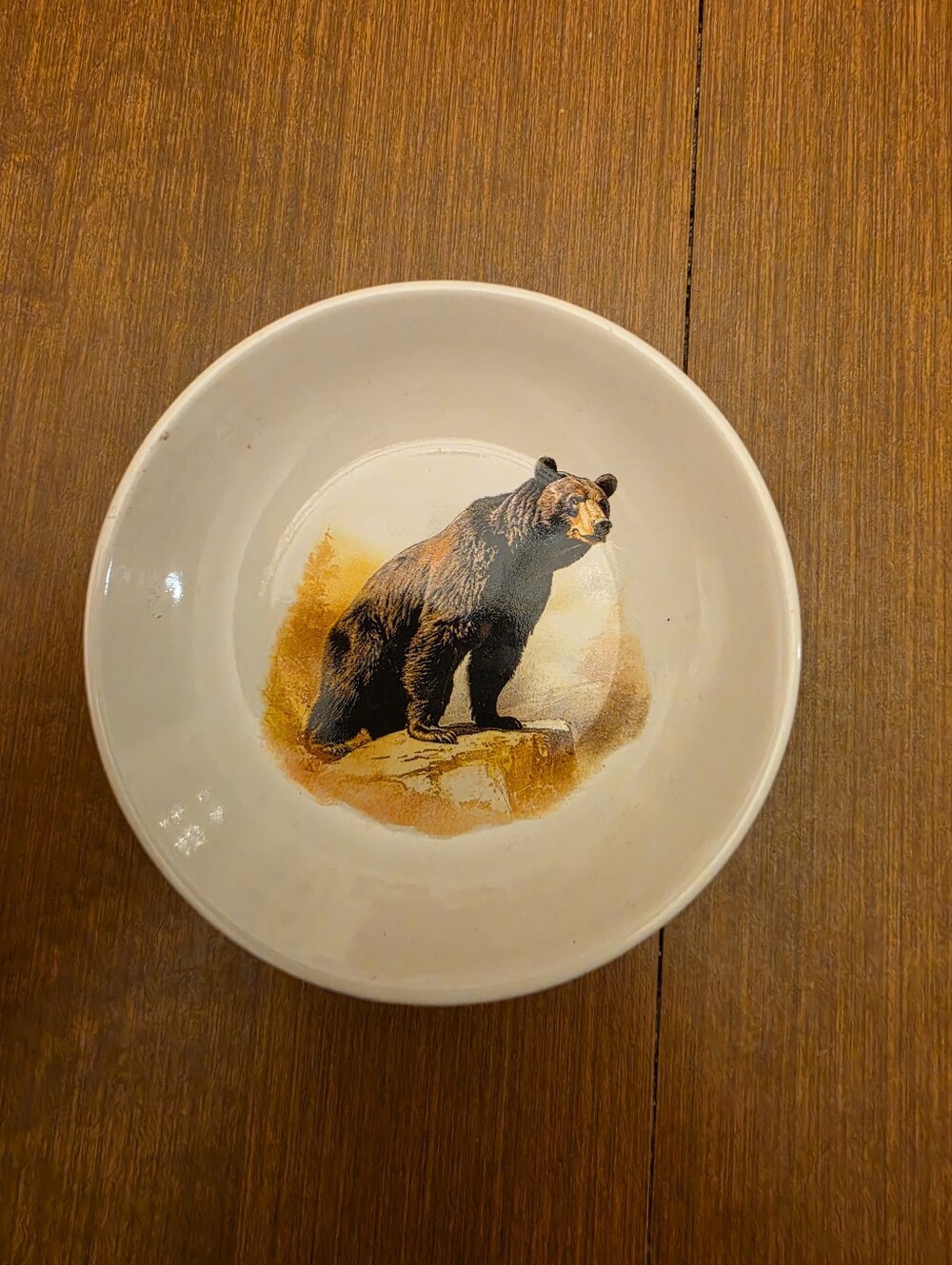 Open Road Bear Saucer/Trinket Dish